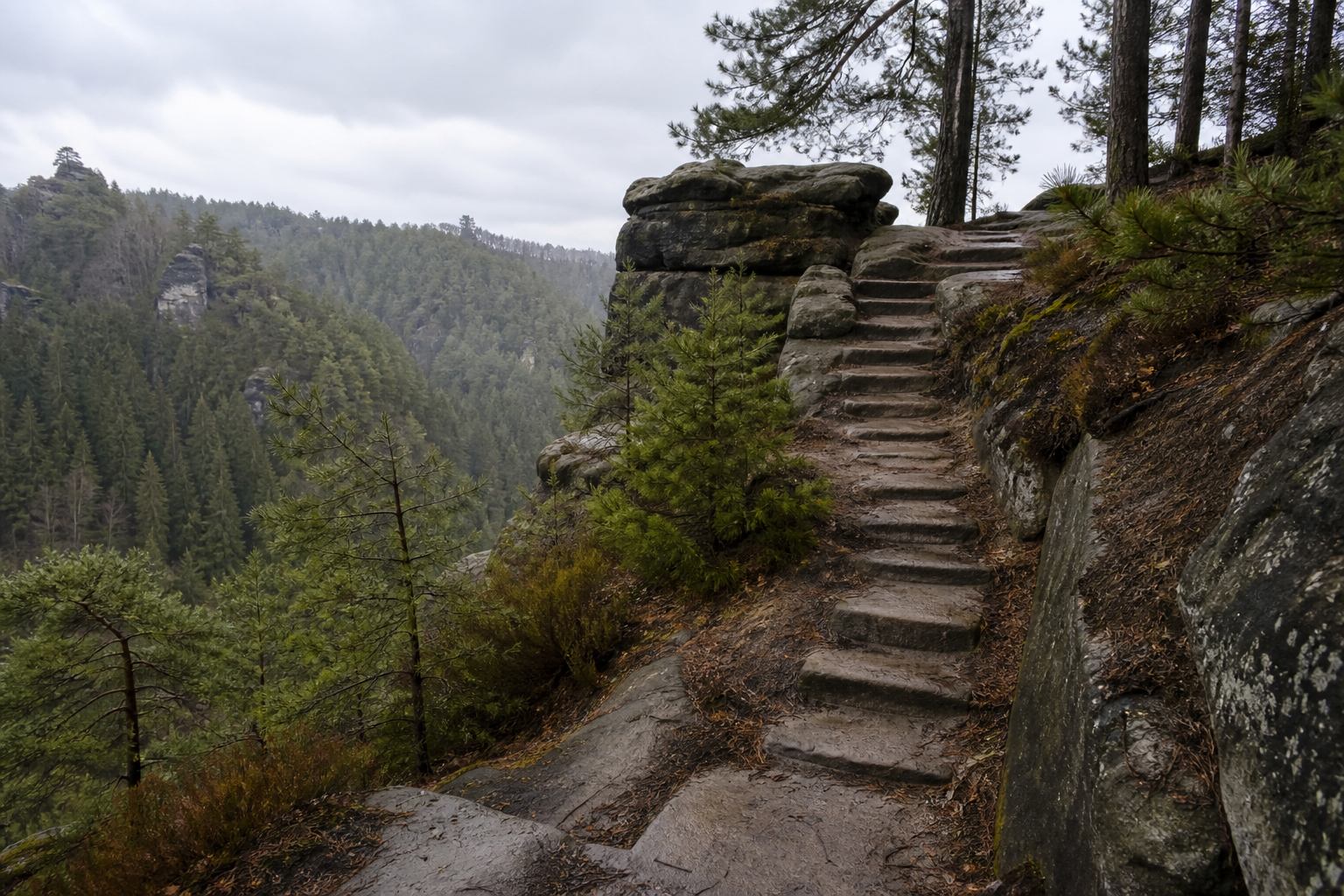 Steinernen Stufenpfad zwischen Fichten und Sandsteinplateau